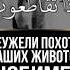 неужели похоти ваших животов любимее чем Аллаh и Его посланник ﷺ шейх Халид ар Рашид
