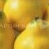 Limon Ning Foydali Xususiyatlari Лимон нинг фойдали хусусиятлари