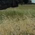 TRICKY TRACKING 190 Albertan Muley