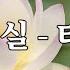 이연실 타박네