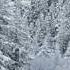 Jim Reeves Spell Of The Yukon