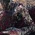 100000 Modern Soldiers Vs 200 MEGA ZOMBIES UEBS 2