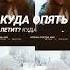 музыка эмин падалпервыйснег видео зима январь прогулкиполесу лесзимой