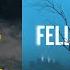 M R Carey Introduces FELLSIDE