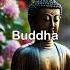 When East Meets West Buddha And Socrates Together Buddha Socrates Philosophy Buddhism Shorts