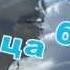 Птица белая Геннадий Лист