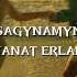 Канат Ерлан Sagynamyn Speed Up