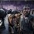 If Noah Had A Phone Noah And The Ark The Story Of Noah