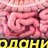 Чи гуна рудаҳоро тоза бояд кард
