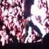 Luke Bryan I M A Country Man