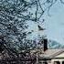 Jim Croce Next Time This Time Live At Glassboro State College On 01 15 1973