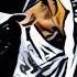 Michael Jackson They Don T Care About Us Dj Zhuk Remix