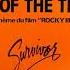 Survivor Eye Of The Tiger Extended 1982