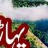 Naeem Hazarvi Latest And New Song Naeem Hazarvi New Tiktok Song 2022