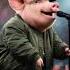 Pig Singing Newmusic Music Song Funny