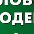 УК РФ статья 9 Действие уголовного закона во времени ФЗ 63 Уголовный Кодекс