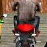 Play As Granny Grandpa Baldi Moto Bike Ride Funny Horror Granny Game