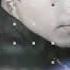 Amir AH 24 Salege