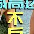 减肥怎样吃 一个月竟然可以减掉高达20斤不反弹 红人的私人减肥食谱减肥餐计划 BEST Diet To Loss Upto 20 Pounds A Month