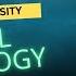 B A Sociology First Year Pondicherry University Rural Sociology PYQ Analyzing