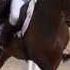 Horse Rider If I Lose Myself Tonight
