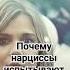 Фантазии нарцисса приводят его к стыду и зависимостям нарцисс нрл