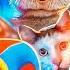The Amazing Digital Circus Theme But Memes Sing It 2 Your New Home