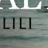 Balti Ya Lili Despacito