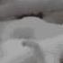 Снежный покров Пушистая зима Snow Cover Fluffy Winter