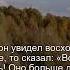 Коран Сура Аль Анам 6 78 Чтение Корана с русским переводом Quran Translation Quranrecitation