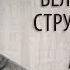 Велосипедист структуралист Александр Жолковский