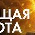 Метта Медитация Любящей Доброты 852Hz