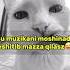 Bu Musiqani Moshinada Eshtib Maza Qilasiz Rek Top Music Muzika Mp3 1m Foryou Musiqalar