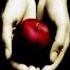 Twilight Audiobook Chapter 3 Phenomenon
