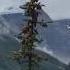 Banff National Park