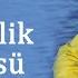 Mahsun Kırmızıgül Kardeşlik Türküsü
