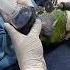 A Kind Soul Rescued This Poor Parrot From A Life Of Captivity