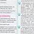 51 Spotlight 7 Module 8 Unit 8c Page 80