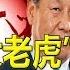 吓坏了 传有 大老虎 欲借机逼习近平下台