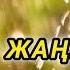 Шипасы мол СӘУІР ЖАҢБЫРЫНЫҢ пайдасын білесіз бе Жаңбыр суы