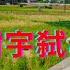 北大学生吴谢宇弑母案落幕 这个悲剧是如何形成的 躺平叔聊吴谢宇