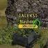 Wild Tanks Online насхорн