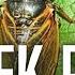 O Öttüğünde Bütün Sesler Susar Ağustos Böceği Cicadidae