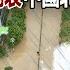 Beijing Is Raining So Heavy That They Announced Work From Home