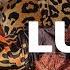 BEST OF LUUDE Drum And Bass Mix 2022 Bad Habits
