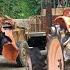Repair Girl Reviving A 25 Year Old Tractor Engine Repaired And Running