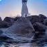 Music Relaxation Moment Of Peace Gregorian