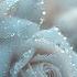 Beautiful Melodies That Make You Cry Music For The Soul Sergey Grischuk 3
