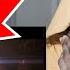 Billie Eilish Listen Before I Go LIVE FROM THE STEVE JOBS THEATER LIVE REACTION AFKGANG
