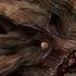 The Witcher 3 Wild Hunt 29 Снаряжение школы Кота Белая дама Проклятый склад